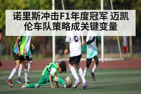 诺里斯冲击F1年度冠军 迈凯伦车队策略成关键变量